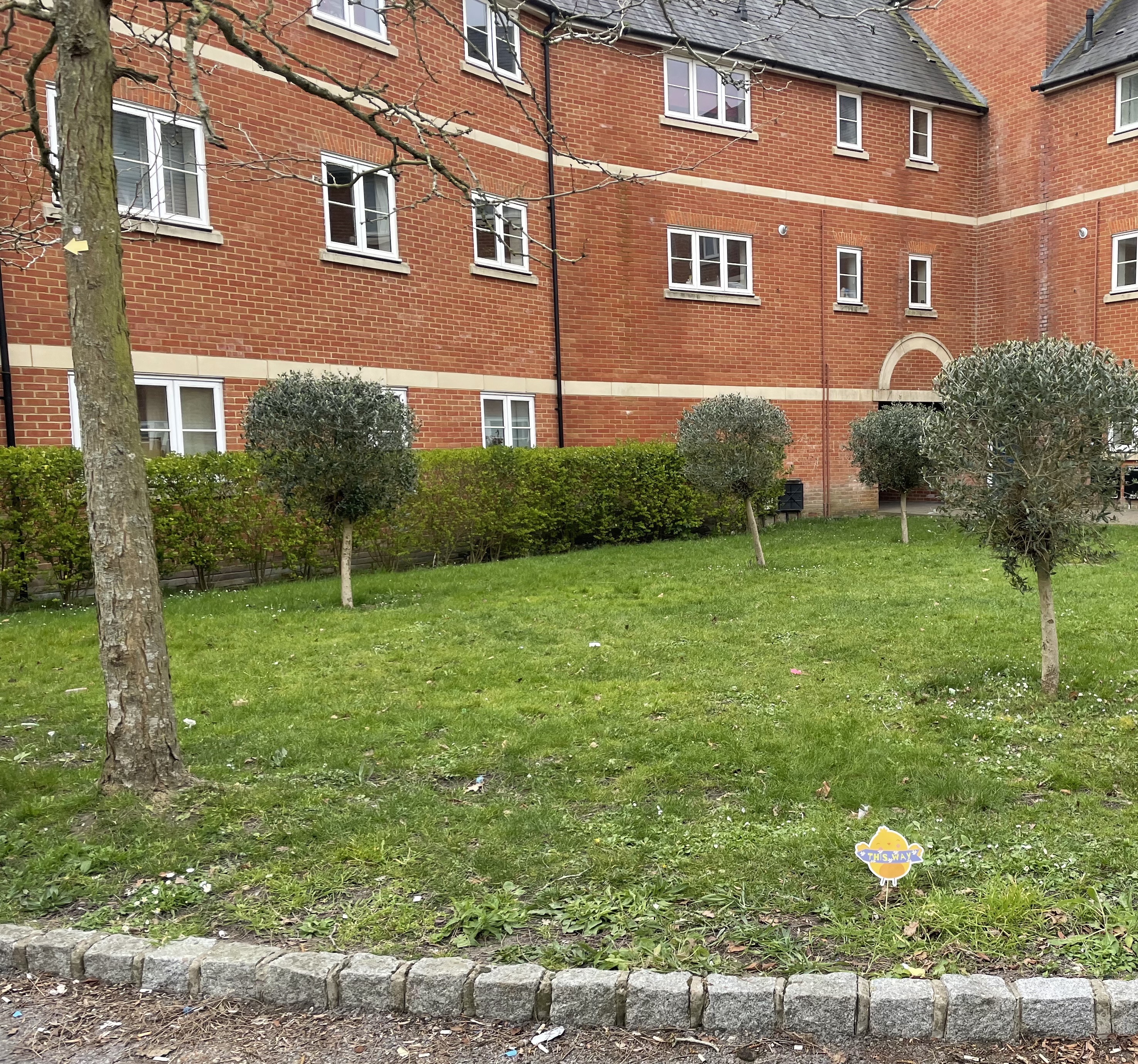3 storey flats with lawn, trees and hedges to the front