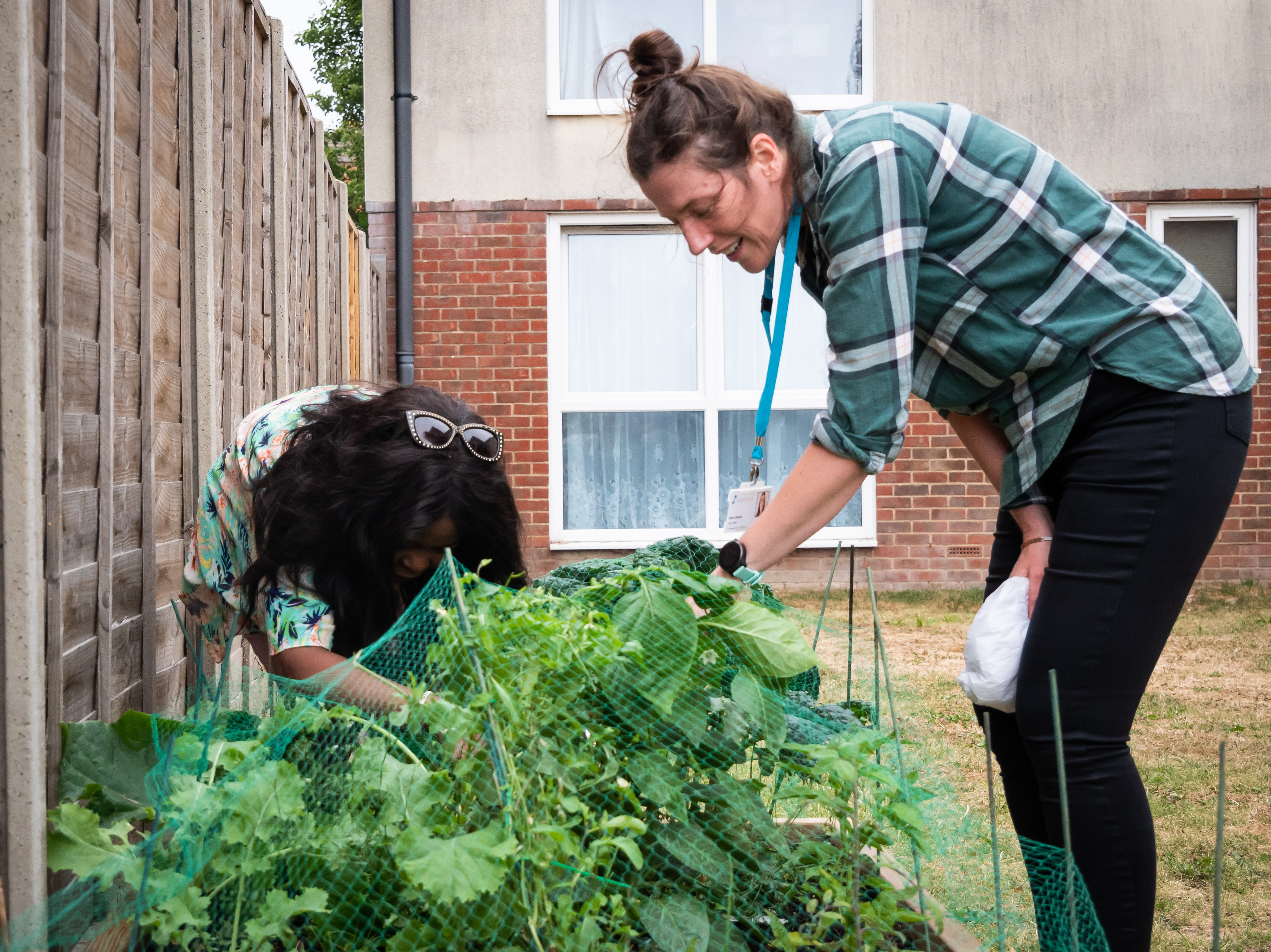 Two residents gardening, looking over a small vegetable patch with green netting over it