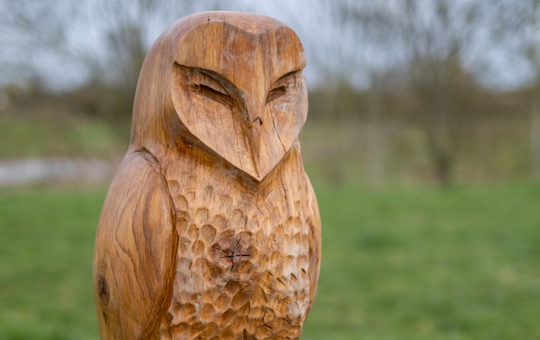 Woodland sculptures unveiled in Market Harborough | Stonewater